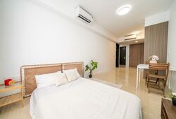 Irwell Hill Residences (D9), Apartment #529599601